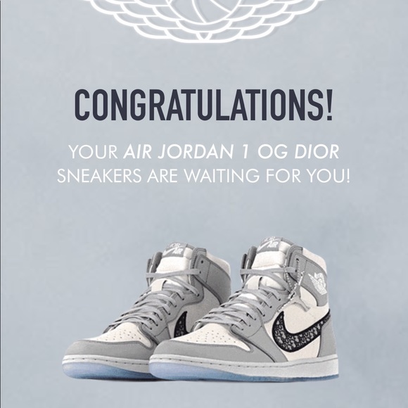 Air Dior Jordan 1s - Picture 9 of 10